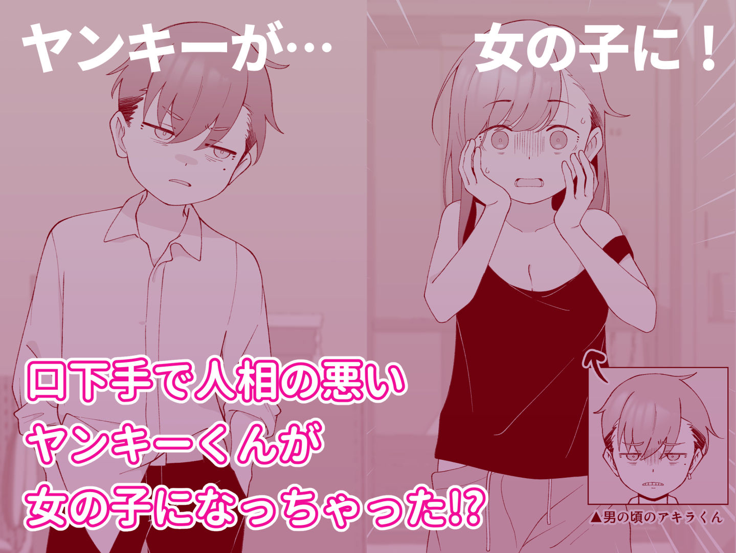 先生の彼女になる女の子になっちゃったヤンキー君 総集編完全版(ツキギ)